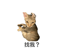 858241332