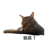 858241345