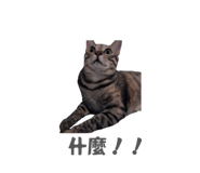 858241349