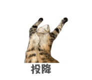 858241351