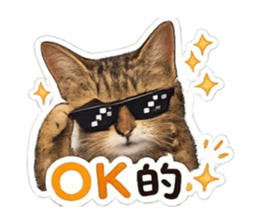 858241381