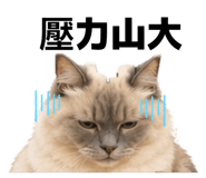 858241726