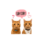 858242129