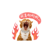 858242134
