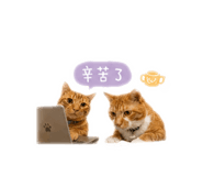 858242143