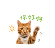 858242149