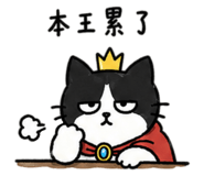 858242243