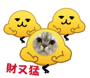 858242293