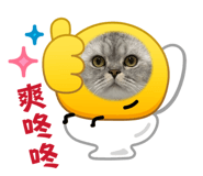 858242296