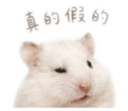 858243001