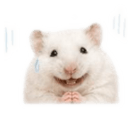 858243003