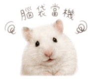 858243009