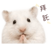 858243013