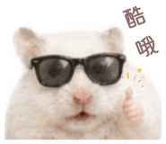 858243014