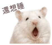 858243016
