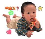 858243300