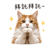 858244845