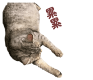 858245014