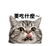 858245016