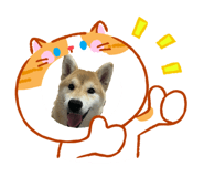 858245512
