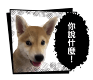 858245513