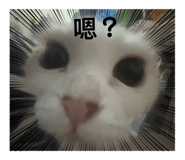 858245514