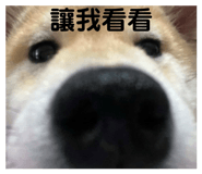 858245518