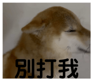 858245519