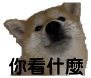 858245520