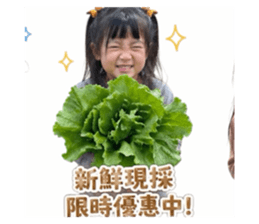 858246270