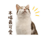 858246599