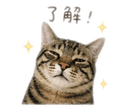 858250237