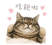 858250246