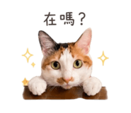858250625