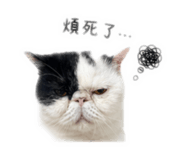 858252433