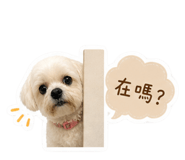 858253085