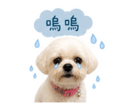 858253114