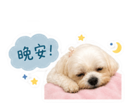 858253120