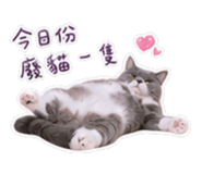 858255918