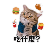 858255923