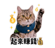 858255924