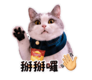 858255928