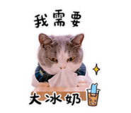 858255933