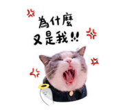 858255934