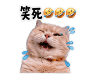 858255941