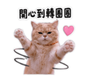 858255942