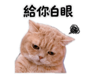 858255943