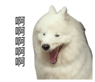 858256195