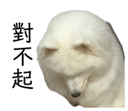 858256196