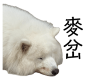 858256207